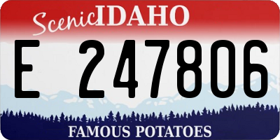 ID license plate E247806