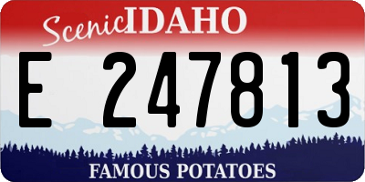 ID license plate E247813
