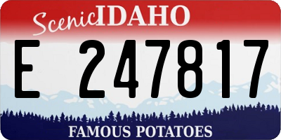 ID license plate E247817