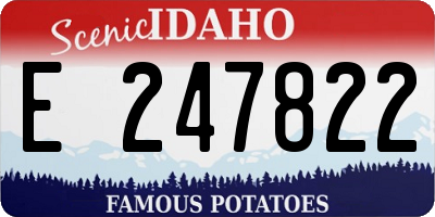 ID license plate E247822