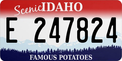 ID license plate E247824