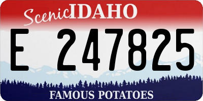 ID license plate E247825