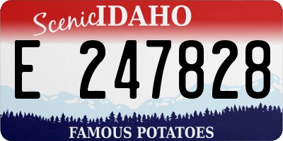 ID license plate E247828