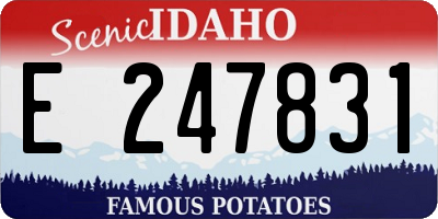 ID license plate E247831