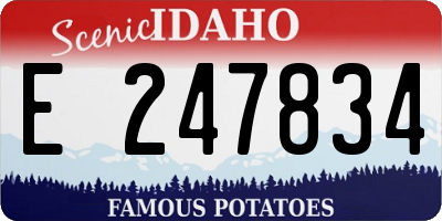 ID license plate E247834