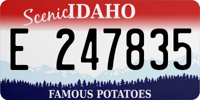 ID license plate E247835