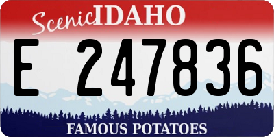 ID license plate E247836