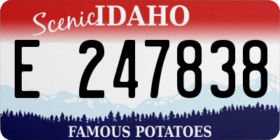ID license plate E247838