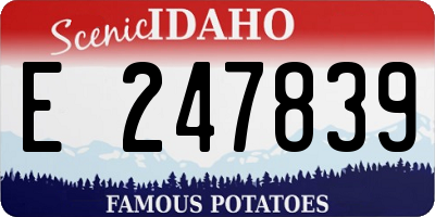 ID license plate E247839