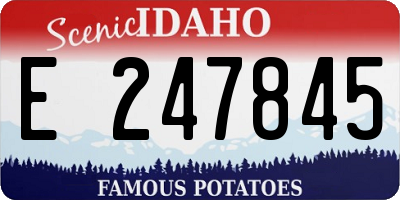 ID license plate E247845