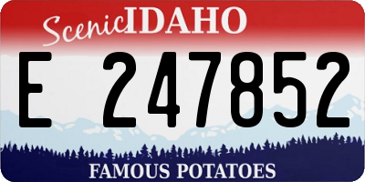 ID license plate E247852