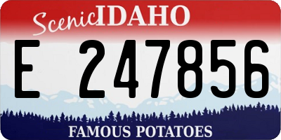 ID license plate E247856