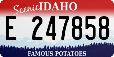 ID license plate E247858