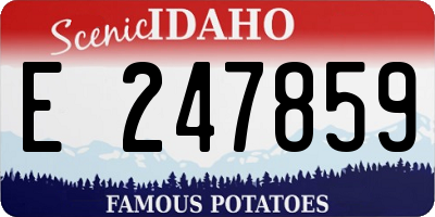 ID license plate E247859