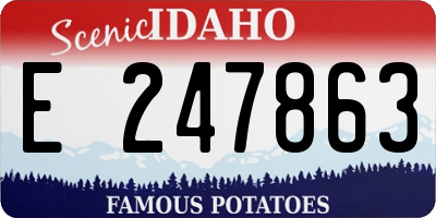 ID license plate E247863
