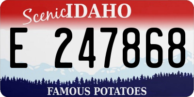 ID license plate E247868