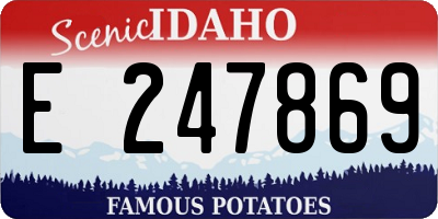 ID license plate E247869