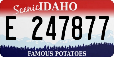ID license plate E247877