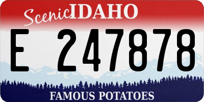 ID license plate E247878
