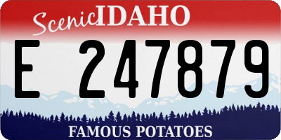ID license plate E247879