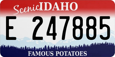 ID license plate E247885