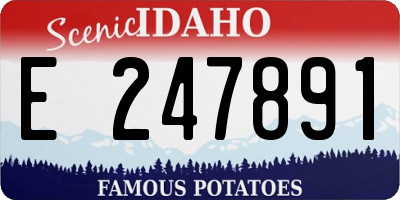 ID license plate E247891