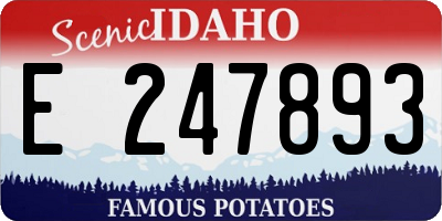 ID license plate E247893