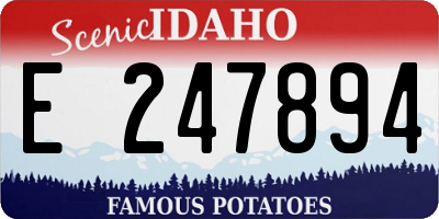 ID license plate E247894