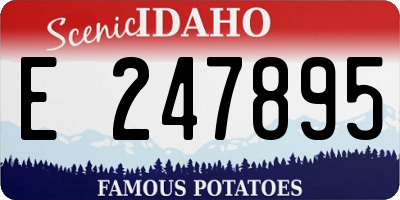 ID license plate E247895