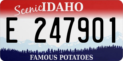 ID license plate E247901