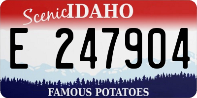 ID license plate E247904