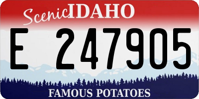 ID license plate E247905