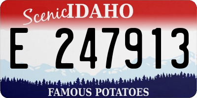 ID license plate E247913