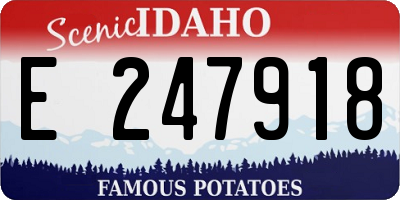 ID license plate E247918