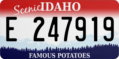 ID license plate E247919