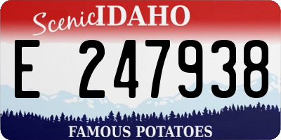 ID license plate E247938