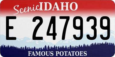 ID license plate E247939