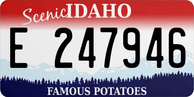 ID license plate E247946