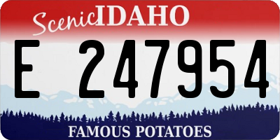 ID license plate E247954
