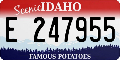 ID license plate E247955