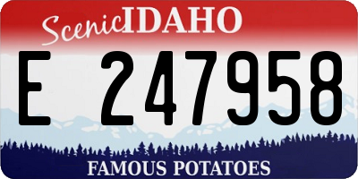 ID license plate E247958