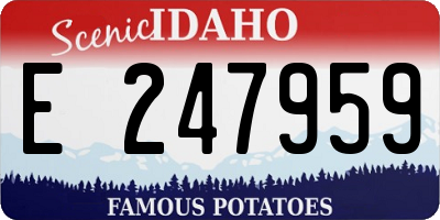 ID license plate E247959