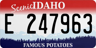 ID license plate E247963