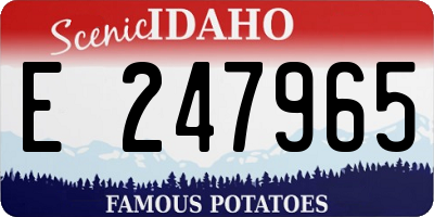 ID license plate E247965