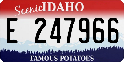 ID license plate E247966