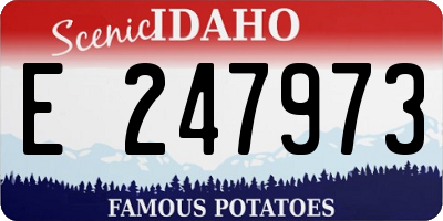 ID license plate E247973