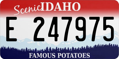 ID license plate E247975
