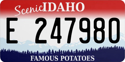 ID license plate E247980