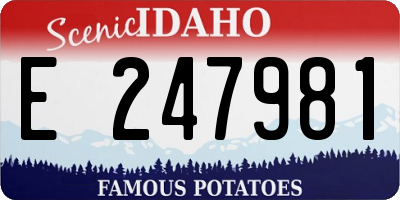 ID license plate E247981