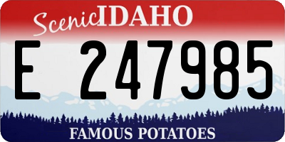 ID license plate E247985